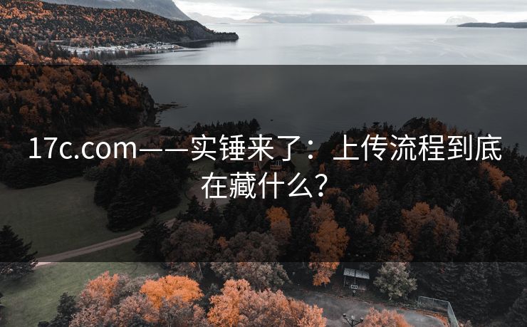 17c.com——实锤来了：上传流程到底在藏什么？