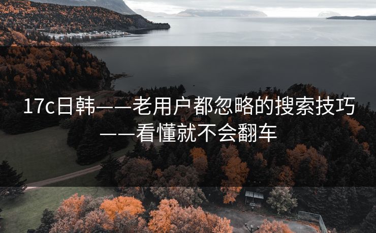 17c日韩——老用户都忽略的搜索技巧——看懂就不会翻车