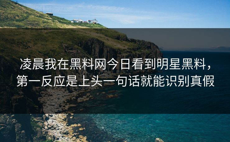 凌晨我在黑料网今日看到明星黑料，第一反应是上头一句话就能识别真假